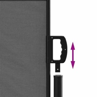 Toldo retráctil antracita 100x500 cm