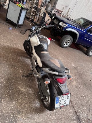 Suzuki Gladius 650 Naked