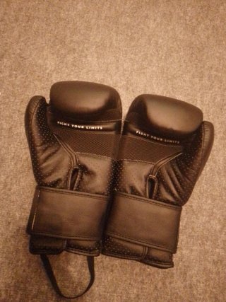 Guanti da Boxeo Decathlon TRNG