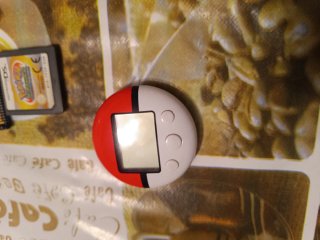 Pokémon Heart Gold + Ranger DS