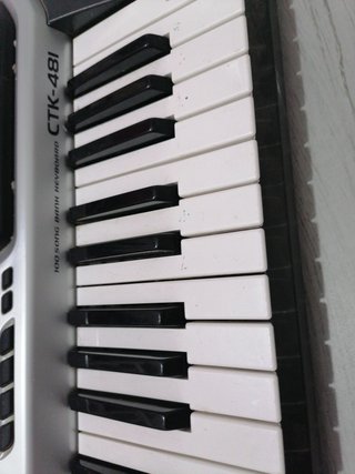 Teclado Electrónico CASIO CTK-481
