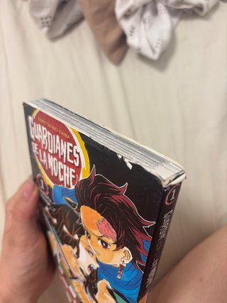 Manga de Kimetsu No Yaiba n1