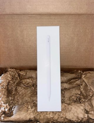 Apple Pencil USB-C Nuevo Precintado