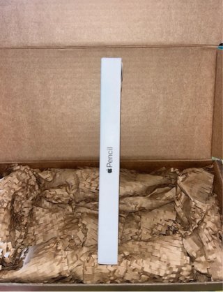 Apple Pencil USB-C Nuevo Precintado