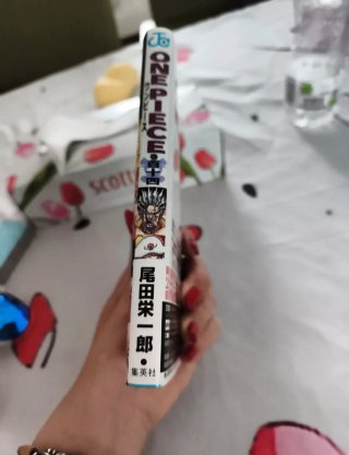 ONE PIECE 114