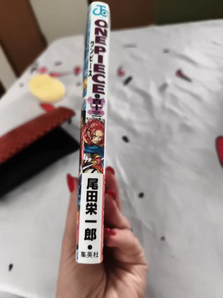 ONE PIECE 113