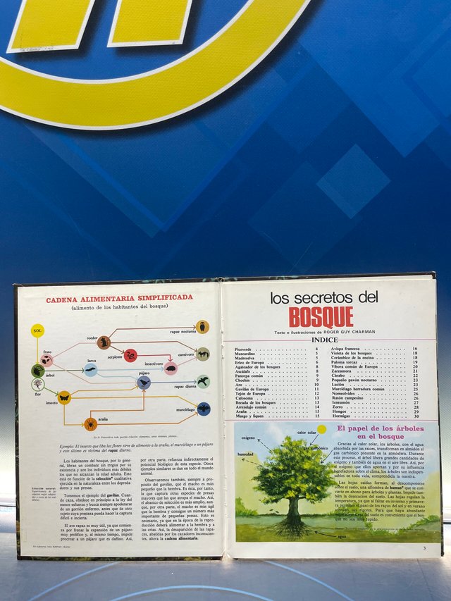 libro, Los secretos del bosque