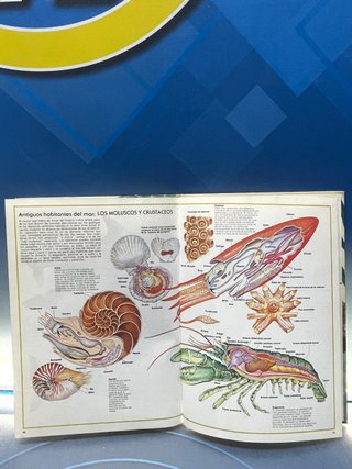 libro, Tu y la naturaleza