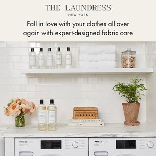 The Laundress cepillo manchas ropa portátil