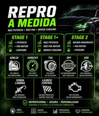 Repro Remap Chip Tuning Motor