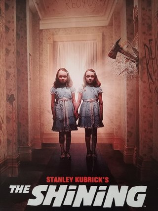 Póster Lienzo The Shining Gemelas Grady