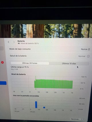 MacBook Pro Plata/Gris Espacial