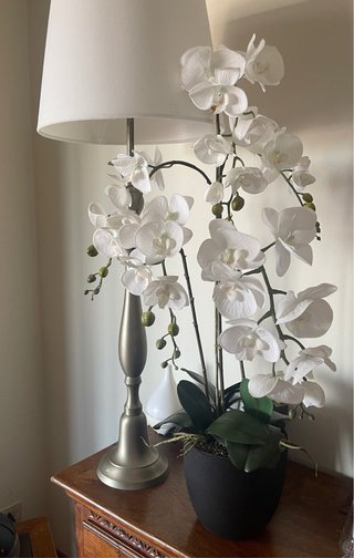 Pianta Orchidea Artificiale Realistica