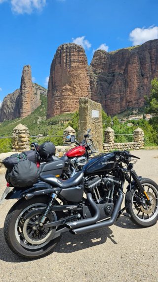 Harley Davidson Sportster 883R 2007