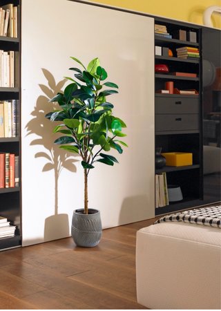 Pianta Ficus Elastica Artificiale Realistica