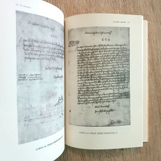 El obispo Acuña: Historia de un comunero