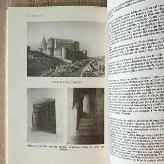 El obispo Acuña: Historia de un comunero