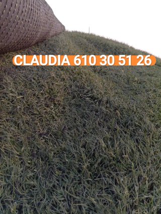 Venta césped artificial