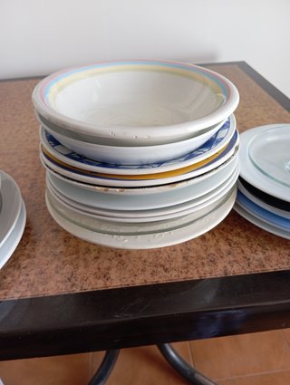 PLATOS VARIADOS, LLANOS, HONDOS Y DE POSTRE (28)