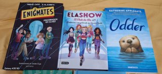 Lote de libros juveniles para niñas