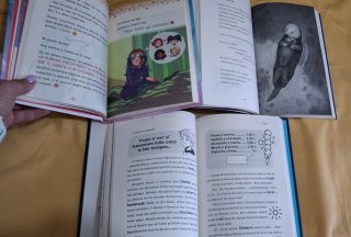 Lote de libros juveniles para niñas