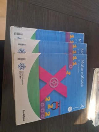 Lote libros Santillana 4 Primaria