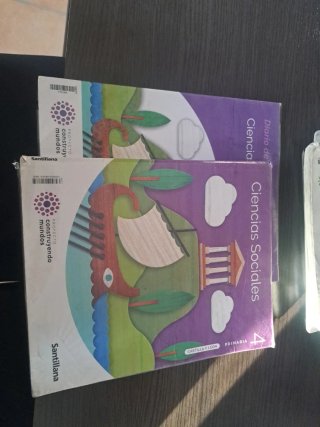 Lote libros Santillana 4 Primaria
