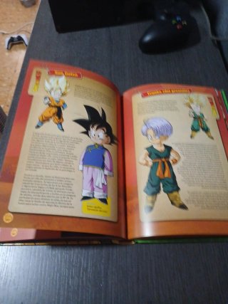 Kame Hame Ha! la guía definitiva de Dragon Ball