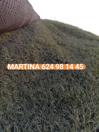 Venta césped artificial