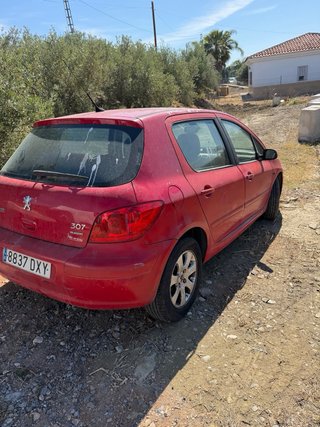 Peugeot 307 2006