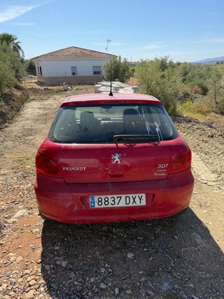 Peugeot 307 2006