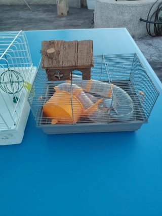 2 Jaulas Hámster y Cobaya