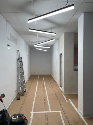 Pintor Económico