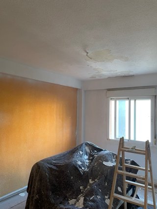 Pintor Económico