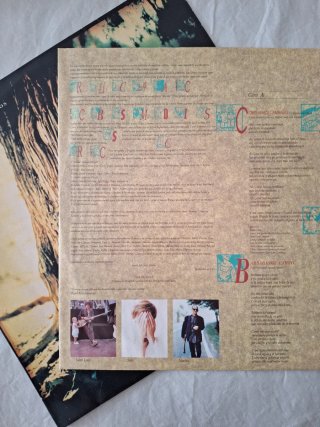Vinilo Presuntos Implicados