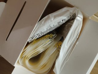 Sacaleches Medela Swing