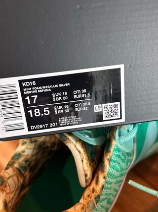 Nike KD Zapatillas Talla 49.5 Verde/Turquesa