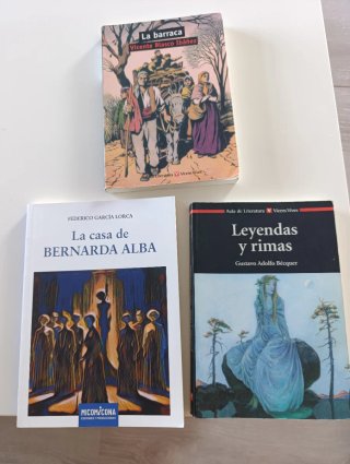 Libros literatura 4 eso