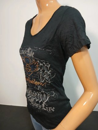 Camiseta Harley-Davidson Illinois