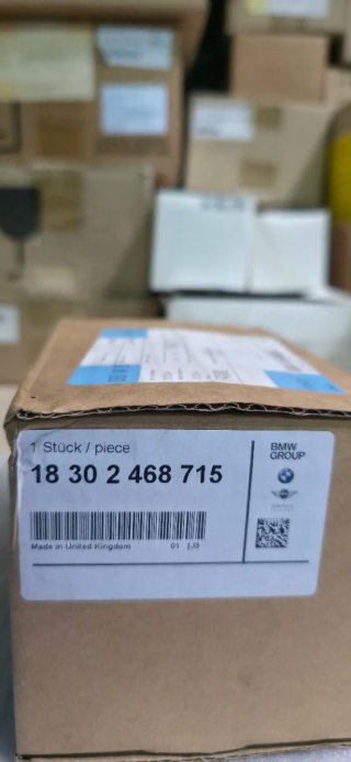 Moldura Tubo Escape BMW Carbono WORKS