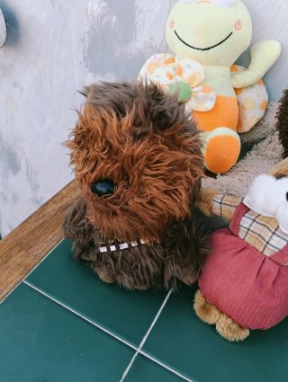 Lote de peluches variados