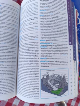 Diccionario Avanzado Primaria. Lengua española de segunda mano por