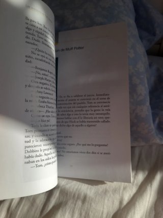 Las aventuras de Tom Sawyer