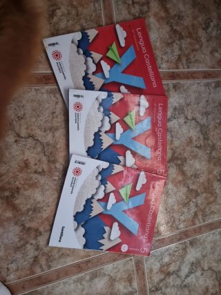 Lengua castellana, 5 Primaria