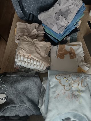 Lote Ropa Bebé 6-12 Meses