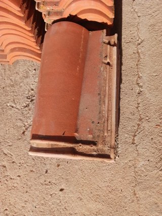 Teja mixta de derechas