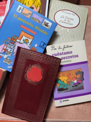 Lote de libros