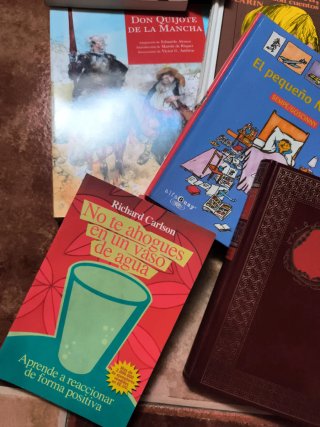 Lote de libros