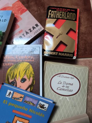 Lote de libros