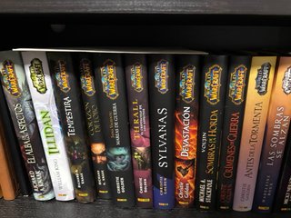 Coleccion libros y juegos Warcraft.